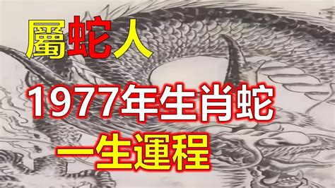 1977生肖蛇|關於1977年「生肖屬蛇人」，這一生命運如何？